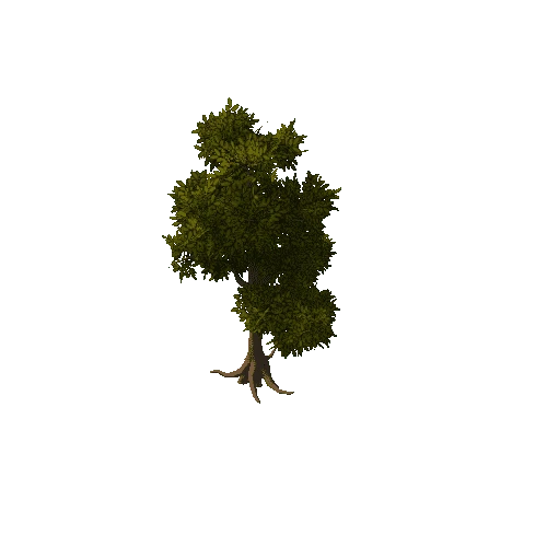 Tree Large 2